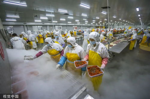打1折的臨期食品，到底能不能吃？農業科技研發給出答案